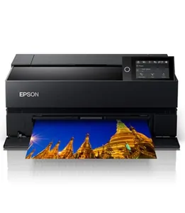 Замена памперса на принтере Epson SureColor SC-P700 в Краснодаре